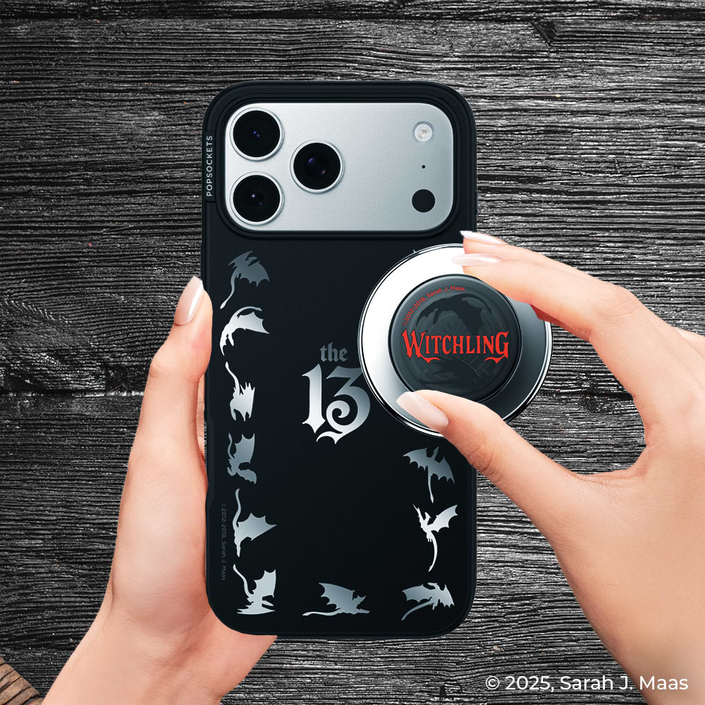 Mirror The 13 — iPhone 17 Pro Max MagSafe Case - US 74909
